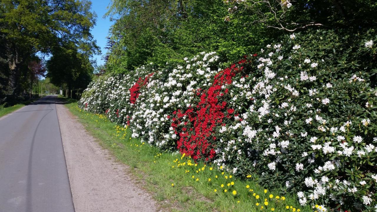 Gartenblick Apartment Westerstede