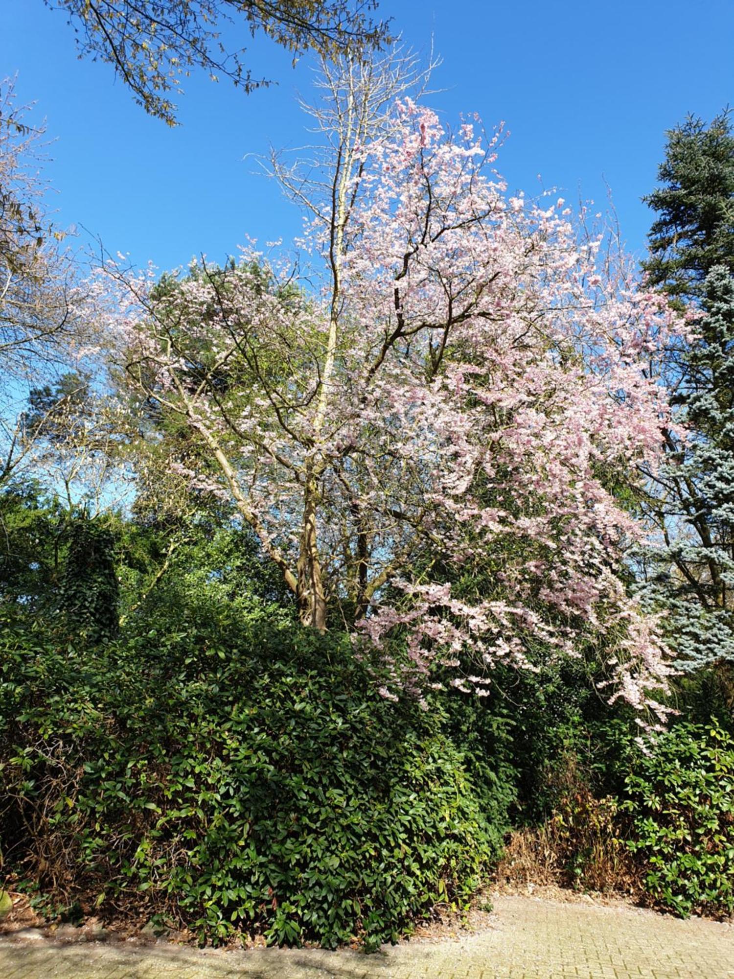 Gartenblick Westerstede