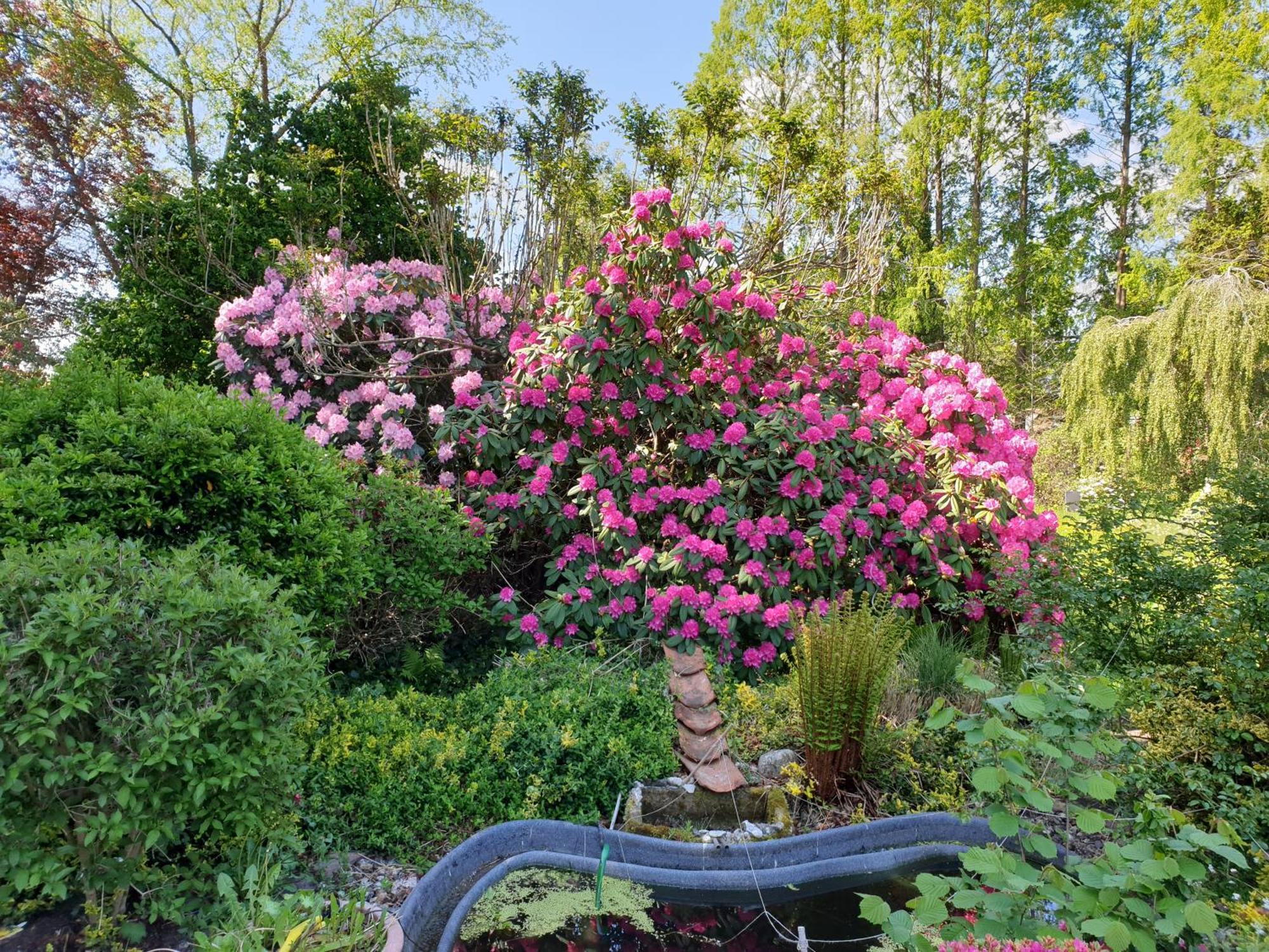 Apartment Gartenblick
