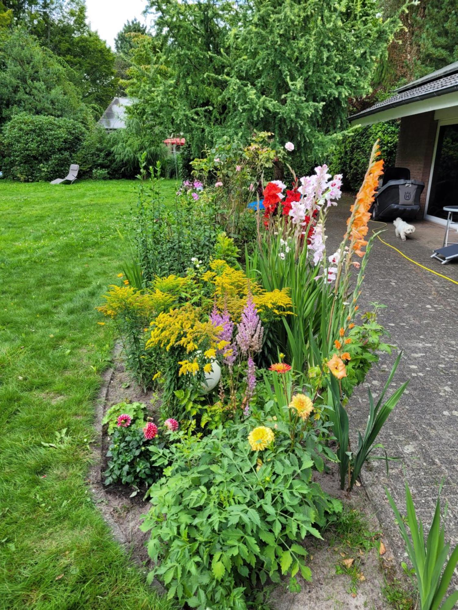 Gartenblick Apartment *