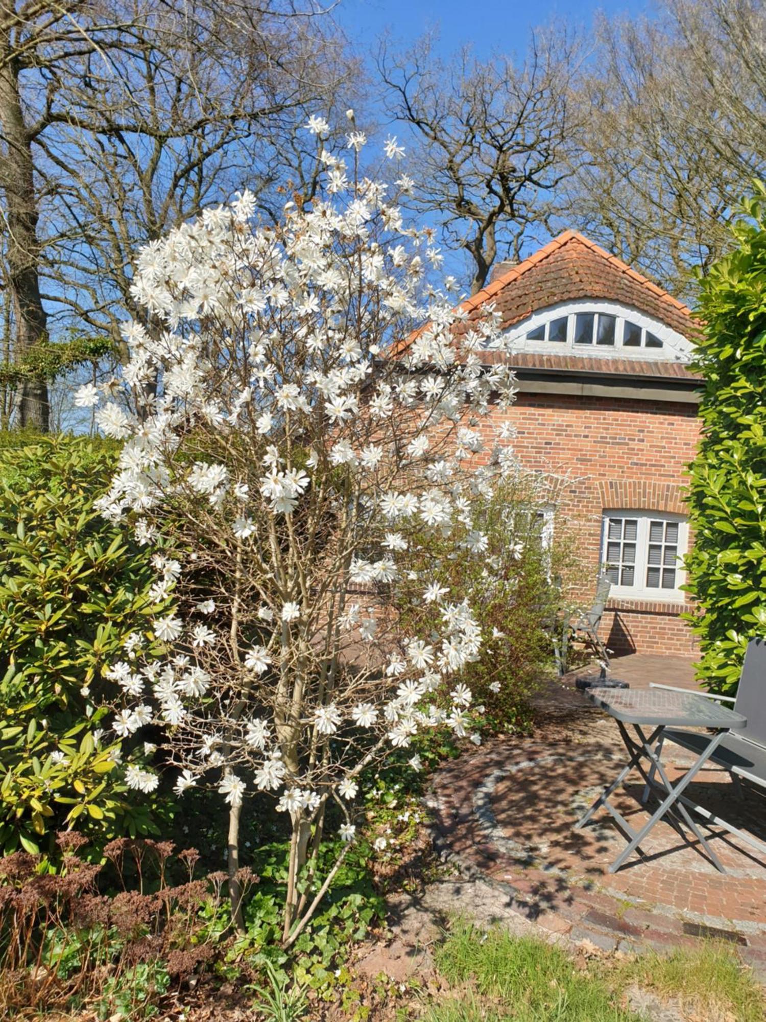 Apartment Gartenblick *