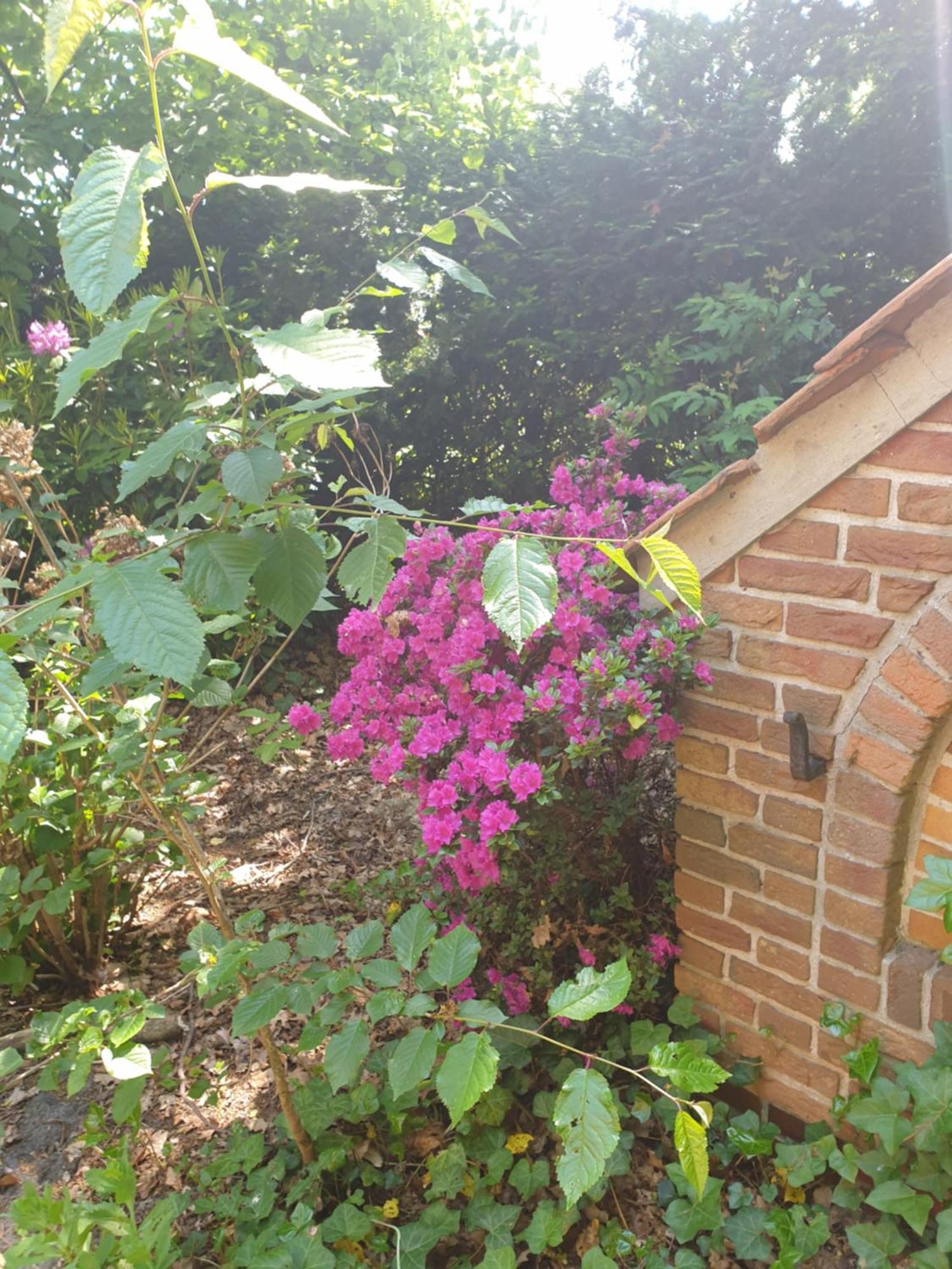 Gartenblick Westerstede